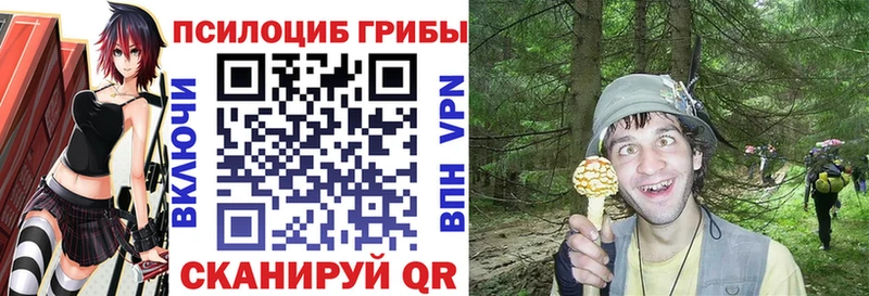 blacksprut зеркало  Шилка  Галлюциногенные грибы мухоморы 